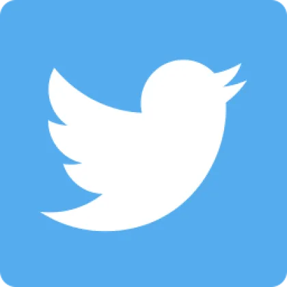 Fresh Twitter Accounts【仅支持token登入无任何售后】